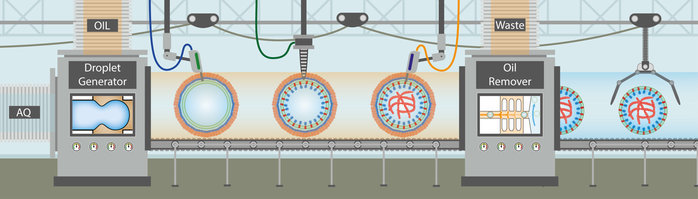 Summerschool on Synthetic Biology